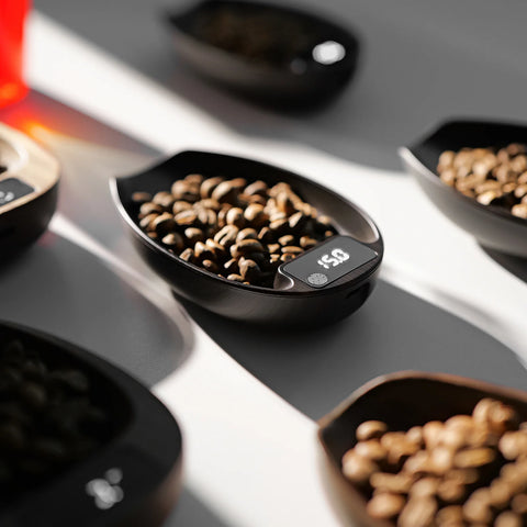 MVE Coffee Scale-ABS