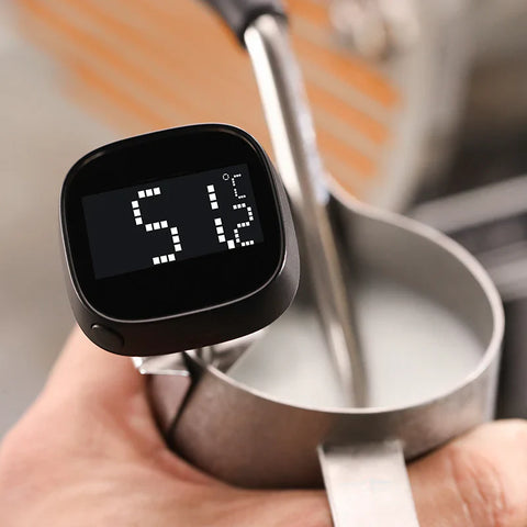Thermometer digital thermometer