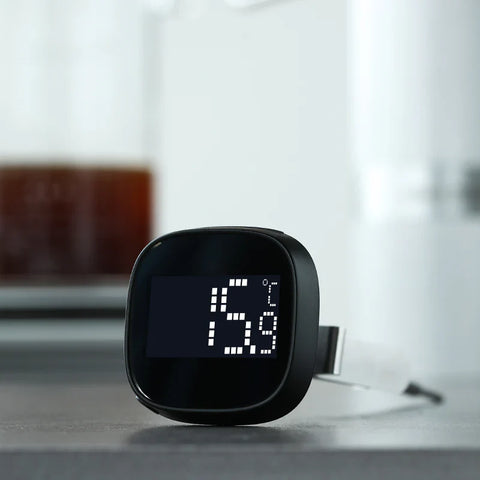 Thermometer digital thermometer