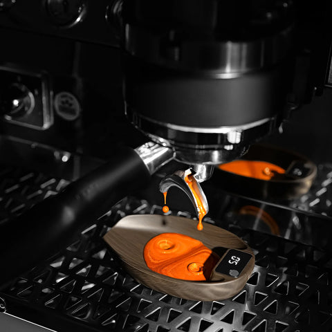 MVE Coffee Scale-ABS