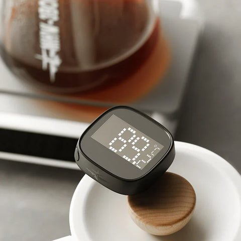 Thermometer digital thermometer